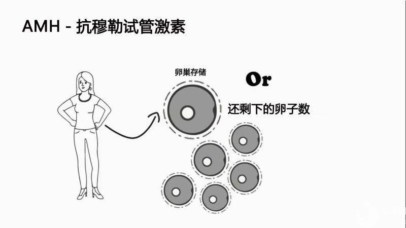 高齡女性如何提高AMH呢？