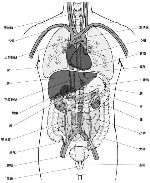 中醫(yī)灌腸竟然可以治療輸卵管粘連！