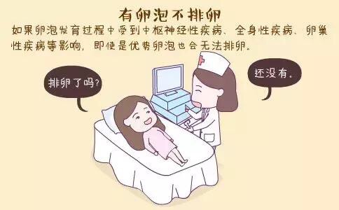 女性不排卵，是什么原因?qū)е碌哪兀? /></a>
	<div   id=