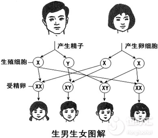 有這種情況的夫妻更容易生男孩，看完你就知道了