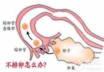 不排卵或許會出現(xiàn)這些癥狀，你發(fā)現(xiàn)了嗎？