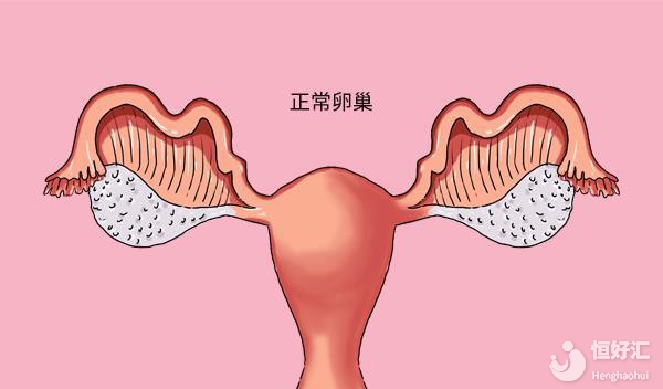 卵巢早衰怎么保護(hù)